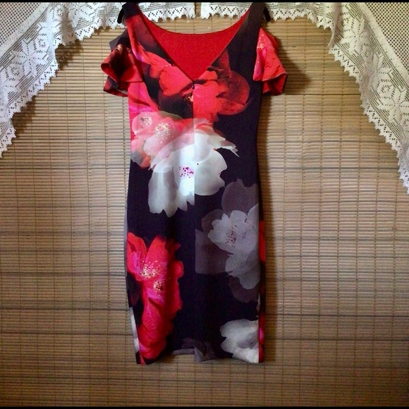 Frank Lyman NWT water color floral print, lovely dress - Picture 5 of 16